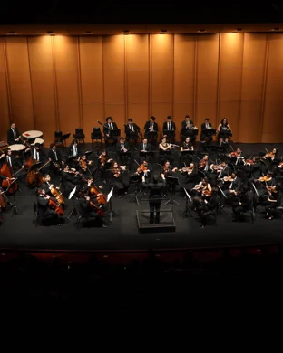 How To Train Your Dragon In Concert