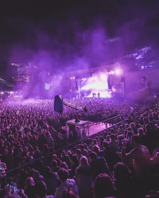Dia de los Deftones